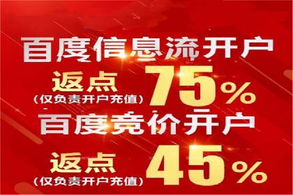 解析百度推广代运营公司运营模式
